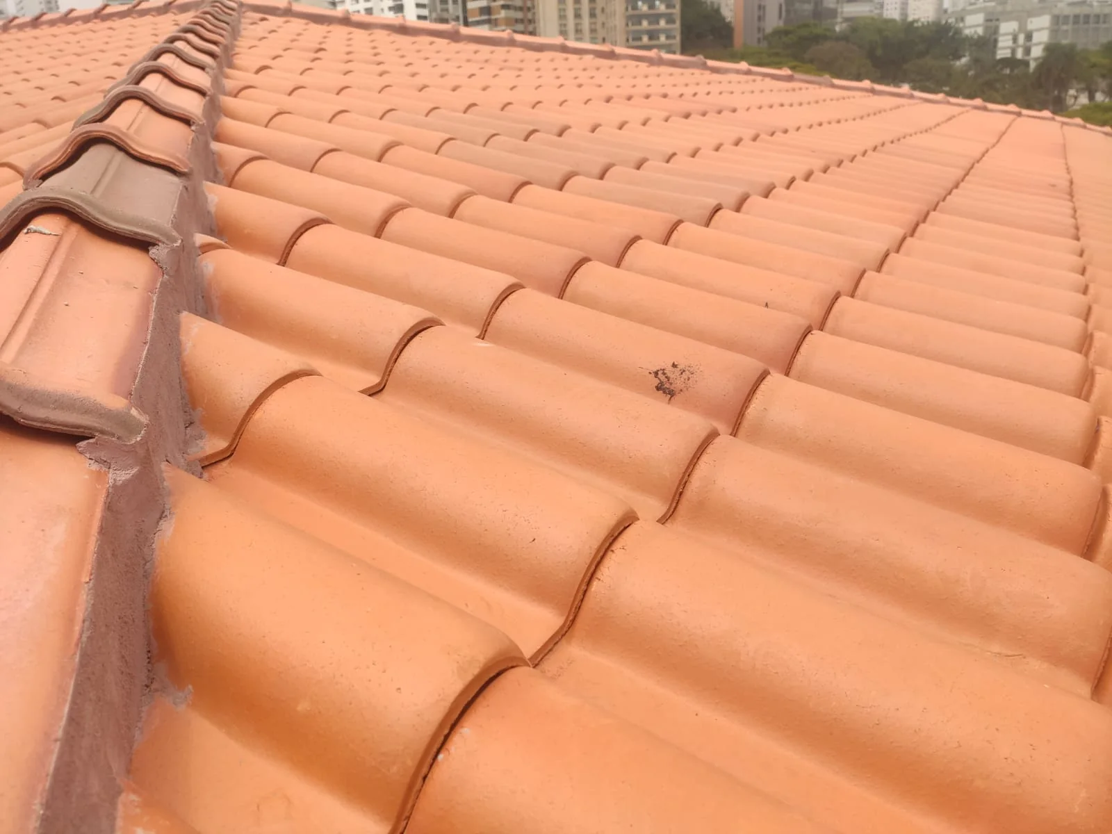 Telhado residencial executado pela Elite Telhados em São Paulo — foto 7